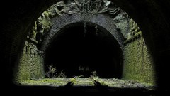 Moss urban cityscapes sewers