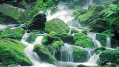Moss waterfalls Korea rocks mount national park