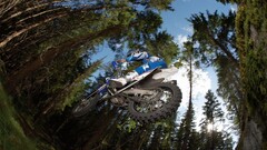 motocross Wood Trees vehicle Sport racing