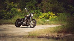 Motorbikes automotive