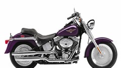 Motorcycles motorbikes