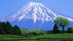 Mount fuji