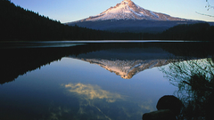 Mount hood from trillium