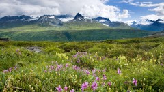 Mountains Alaska