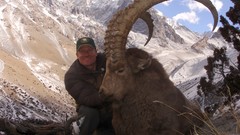 Mountains Animals wildlife horns