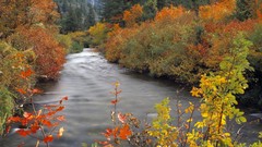 Mountains autumn idaho rivers