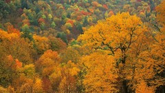 Mountains autumn north carolina appalachian