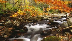Mountains autumn Tennessee