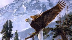 Mountains Birds Eagles