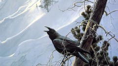Mountains Birds illustrations Ravens