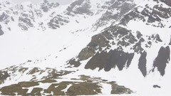 Mountains Birds Penguins