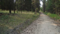 Mountains calm outdoors forests relaxing