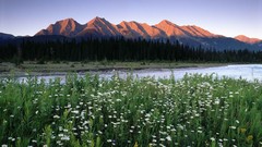Mountains Canada British Columbia rocks national park