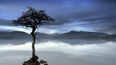 Mountains clouds Landscapes Trees