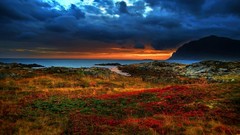 Mountains coast vegetation evening contrast colors colored