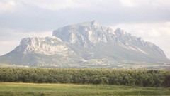 Mountains Flags Salt deserts modified palmier