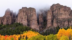 Mountains forest rock cliff mist nature landscape Trees fall