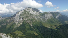 Mountains forests