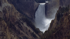 Mountains forests Wyoming yellowstone
