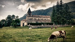 Mountains France Cows houses fields