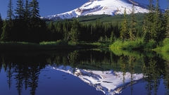 Mountains hood trillium Lake