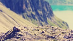 Mountains houses tilt-shift
