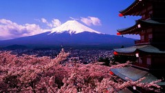 Mountains Japan cherry blossoms pagodas mount fuji Chureito 