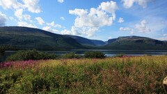 Mountains Lake Flowers