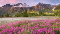 Mountains Landscapes