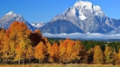 Mountains Landscapes