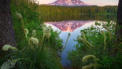 Mountains Landscapes