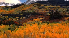 Mountains Landscapes autumn