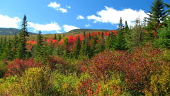 Mountains Landscapes autumn