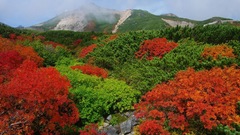 Mountains Landscapes autumn forests