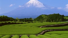 Mountains Landscapes fields