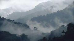 Mountains Landscapes fog mist