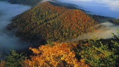 Mountains Landscapes forests