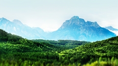 Mountains Landscapes forests mist