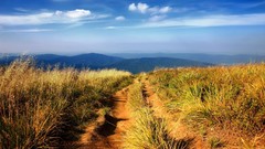 Mountains Landscapes grass
