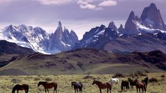 Mountains Landscapes Horses