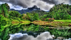 Mountains Landscapes jungle HDR