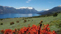 Mountains Landscapes lakes Wildflowers