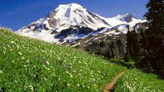 Mountains Landscapes meadows nature