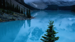 Mountains Landscapes mist