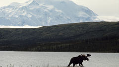 Mountains Landscapes Mt. McKinley