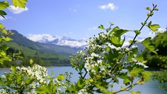 Mountains Landscapes nature