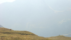 Mountains Landscapes nature Austria