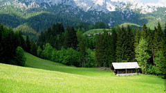 Mountains Landscapes nature forests