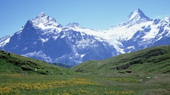 Mountains Landscapes nature grass
