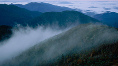 Mountains Landscapes nature mist